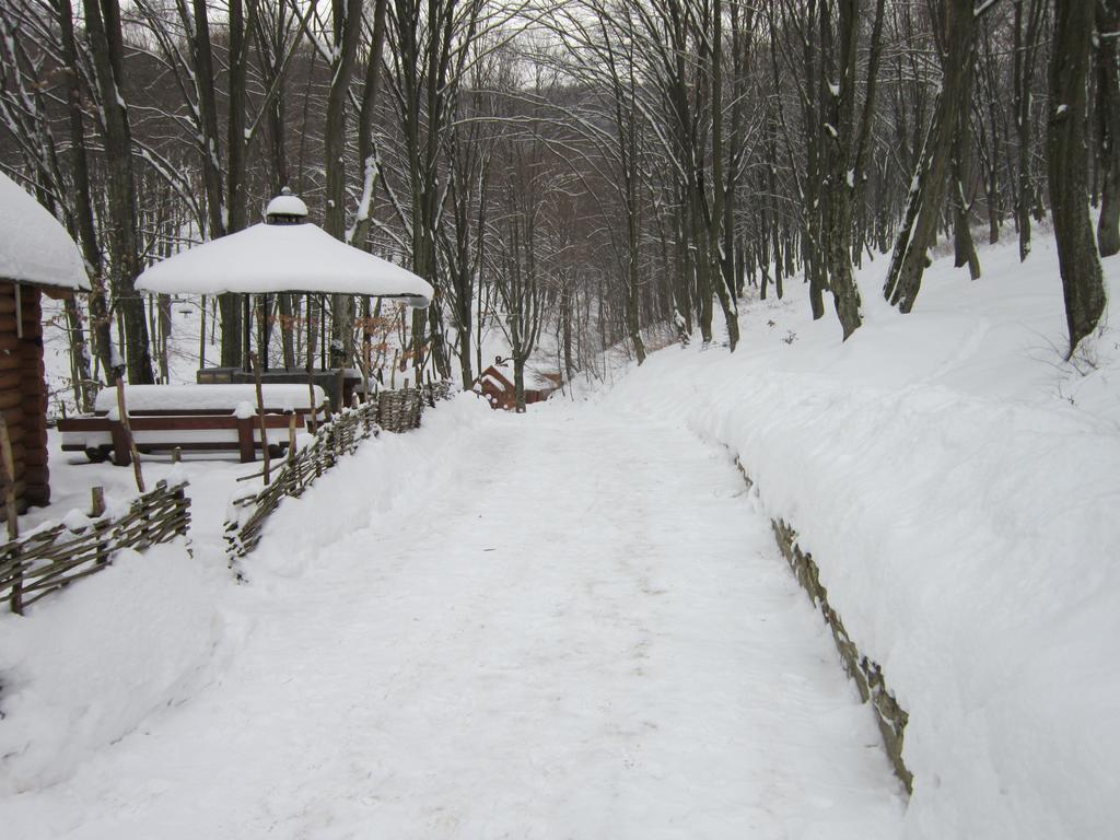 Quelle Polyana Hotell Exteriör bild